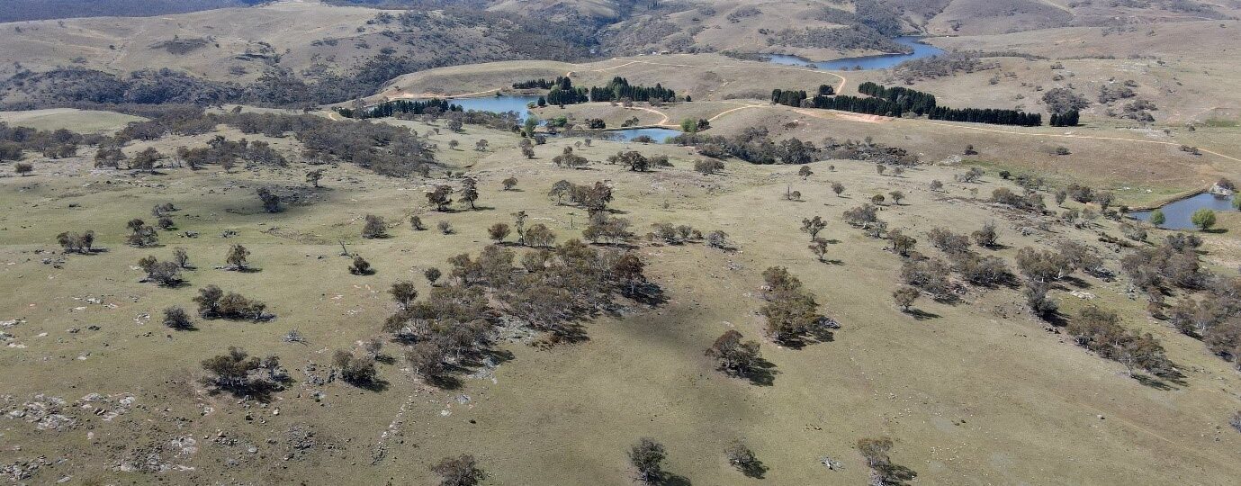 Image of ‘Caddigat Road’ property in Southern NSW | Image credit: Richard Snashall